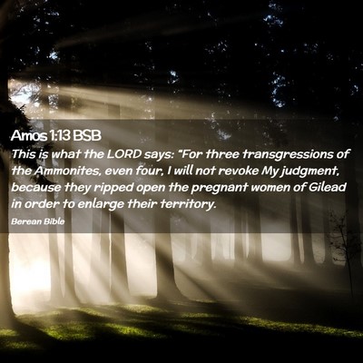 Picture 02 - Amos 1:13 BSB - This is what the LORD says: “For three - Bible Verse Picture