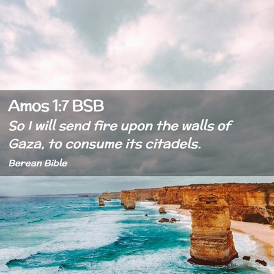 Picture 02 - Amos 1:7 BSB - So I will send fire upon the walls of Gaza, to - Bible Verse Picture