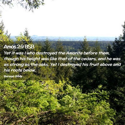 Picture 02 - Amos 2:9 BSB - Yet it was I who destroyed the Amorite before - Bible Verse Picture