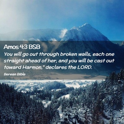 Picture 02 - Amos 4:3 BSB - You will go out through broken walls, each one - Bible Verse Picture