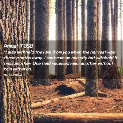 Picture 02 - Amos 4:7 BSB - “I also withheld the rain from you when the - Bible Verse Picture