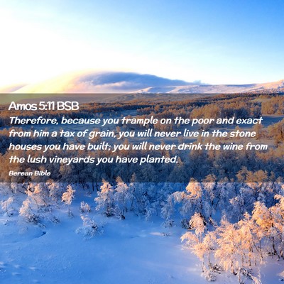 Picture 02 - Amos 5:11 BSB - Therefore, because you trample on the poor and - Bible Verse Picture