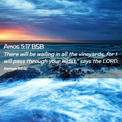 Picture 02 - Amos 5:17 BSB - There will be wailing in all the vineyards, for I - Bible Verse Picture