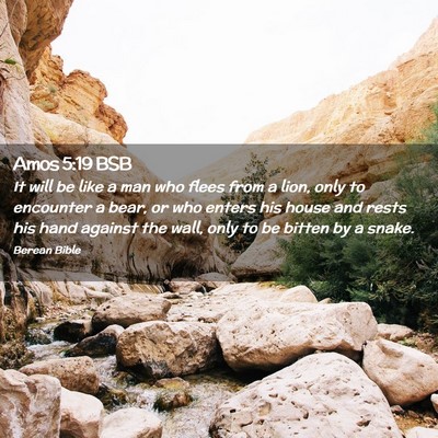 Picture 02 - Amos 5:19 BSB - It will be like a man who flees from a lion, only - Bible Verse Picture