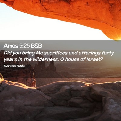 Picture 02 - Amos 5:25 BSB - Did you bring Me sacrifices and offerings forty - Bible Verse Picture