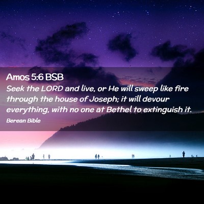 Picture 02 - Amos 5:6 BSB - Seek the LORD and live, or He will sweep like - Bible Verse Picture