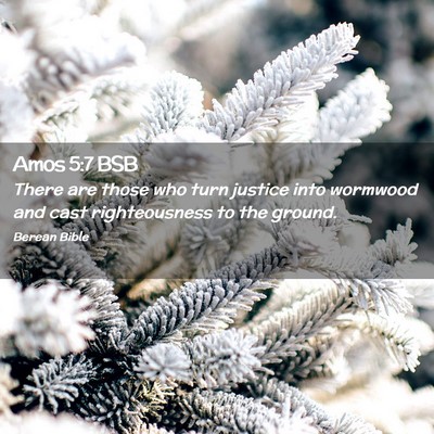 Picture 02 - Amos 5:7 BSB - There are those who turn justice into wormwood - Bible Verse Picture