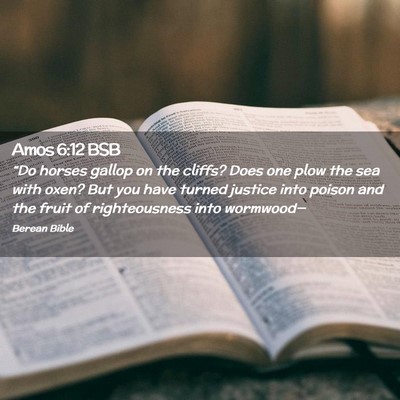 Picture 02 - Amos 6:12 BSB - “Do horses gallop on the cliffs? Does one plow - Bible Verse Picture