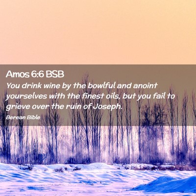 Picture 02 - Amos 6:6 BSB - You drink wine by the bowlful and anoint - Bible Verse Picture