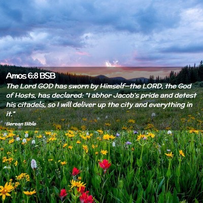 Picture 02 - Amos 6:8 BSB - The Lord GOD has sworn by Himself—the LORD, the - Bible Verse Picture