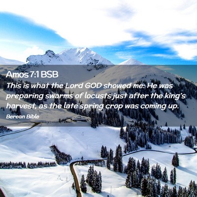 Picture 02 - Amos 7:1 BSB - This is what the Lord GOD showed me: He was - Bible Verse Picture