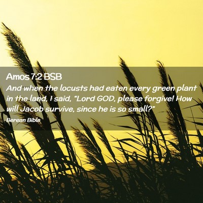 Picture 02 - Amos 7:2 BSB - And when the locusts had eaten every green plant - Bible Verse Picture