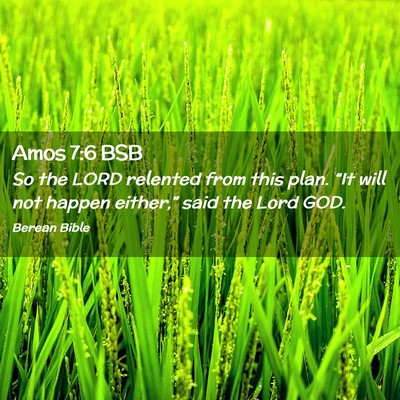 Picture 02 - Amos 7:6 BSB - So the LORD relented from this plan. “It will - Bible Verse Picture