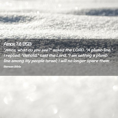 Picture 02 - Amos 7:8 BSB - “Amos, what do you see?” asked the LORD. “A - Bible Verse Picture