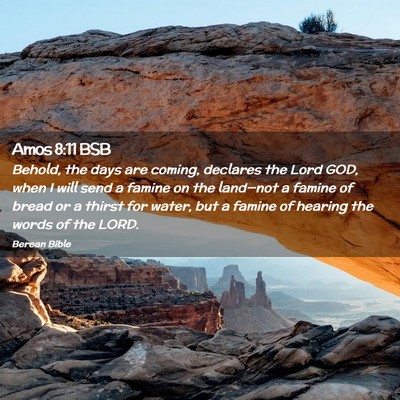 Picture 02 - Amos 8:11 BSB - Behold, the days are coming, declares the Lord - Bible Verse Picture