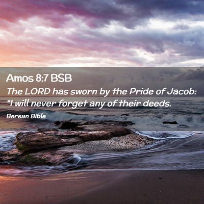 Picture 02 - Amos 8:7 BSB - The LORD has sworn by the Pride of Jacob: “I - Bible Verse Picture