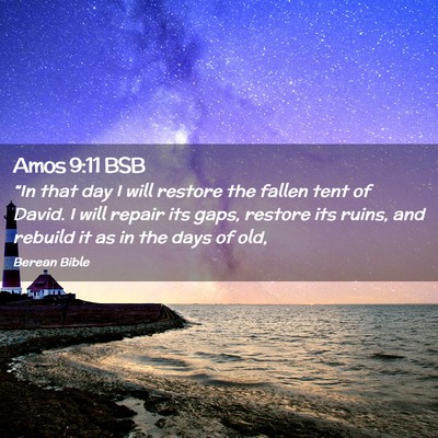 Picture 02 - Amos 9:11 BSB - “In that day I will restore the fallen tent of - Bible Verse Picture
