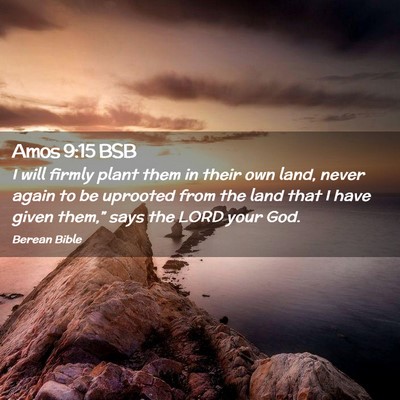 Picture 02 - Amos 9:15 BSB - I will firmly plant them in their own land, never - Bible Verse Picture