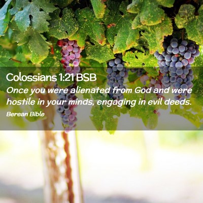 Picture 02 - Colossians 1:21 BSB - Once you were alienated from God and were hostile - Bible Verse Picture