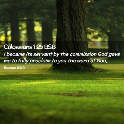 Picture 02 - Colossians 1:25 BSB - I became its servant by the commission God gave - Bible Verse Picture