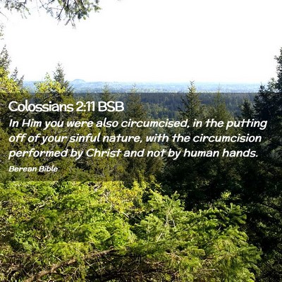 Picture 02 - Colossians 2:11 BSB - In Him you were also circumcised, in the putting - Bible Verse Picture
