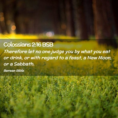 Picture 02 - Colossians 2:16 BSB - Therefore let no one judge you by what you eat or - Bible Verse Picture