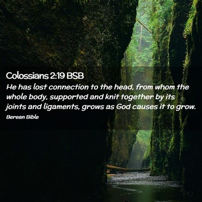 Picture 02 - Colossians 2:19 BSB - He has lost connection to the head, from whom the - Bible Verse Picture