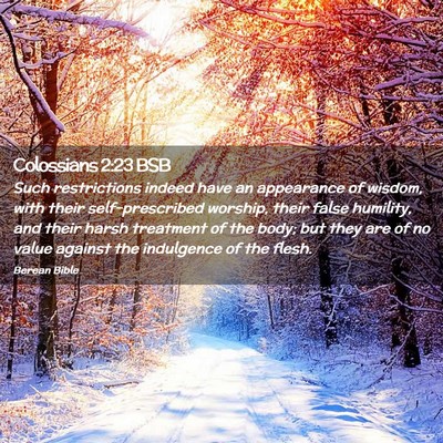 Picture 02 - Colossians 2:23 BSB - Such restrictions indeed have an appearance of - Bible Verse Picture