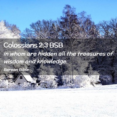 Picture 02 - Colossians 2:3 BSB - in whom are hidden all the treasures of wisdom - Bible Verse Picture