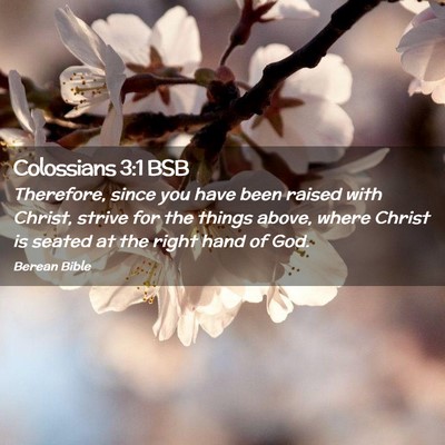 Picture 02 - Colossians 3:1 BSB - Therefore, since you have been raised with - Bible Verse Picture