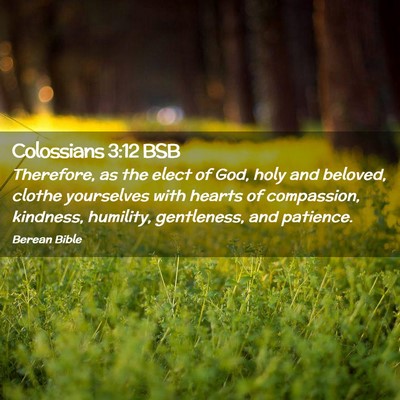 Picture 02 - Colossians 3:12 BSB - Therefore, as the elect of God, holy and beloved, - Bible Verse Picture