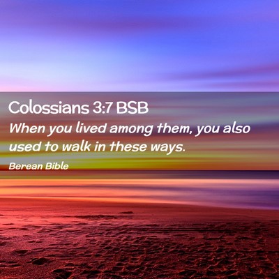 Picture 02 - Colossians 3:7 BSB - When you lived among them, you also used to walk - Bible Verse Picture