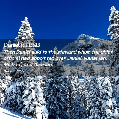 Picture 02 - Daniel 1:11 BSB - Then Daniel said to the steward whom the chief - Bible Verse Picture