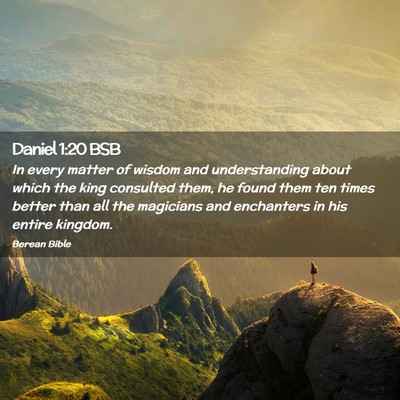 Picture 02 - Daniel 1:20 BSB - In every matter of wisdom and understanding about - Bible Verse Picture