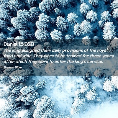 Picture 02 - Daniel 1:5 BSB - The king assigned them daily provisions of the - Bible Verse Picture