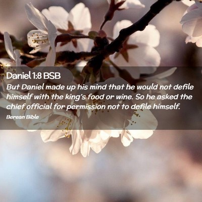Picture 02 - Daniel 1:8 BSB - But Daniel made up his mind that he would not - Bible Verse Picture