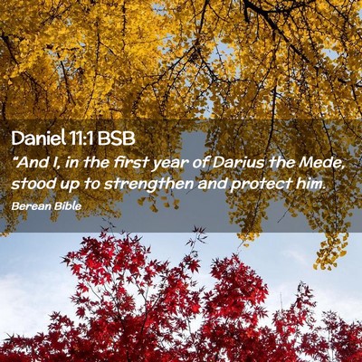 Picture 02 - Daniel 11:1 BSB - “And I, in the first year of Darius the Mede, - Bible Verse Picture