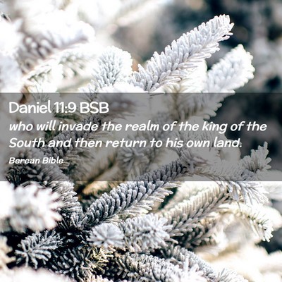 Picture 02 - Daniel 11:9 BSB - who will invade the realm of the king of the - Bible Verse Picture