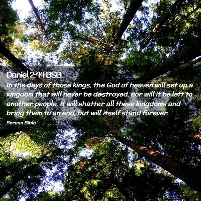 Picture 02 - Daniel 2:44 BSB - In the days of those kings, the God of heaven - Bible Verse Picture