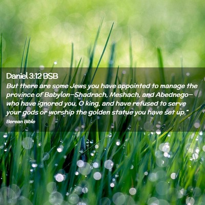 Picture 02 - Daniel 3:12 BSB - But there are some Jews you have appointed to - Bible Verse Picture