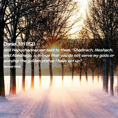 Picture 02 - Daniel 3:14 BSB - and Nebuchadnezzar said to them, “Shadrach, - Bible Verse Picture