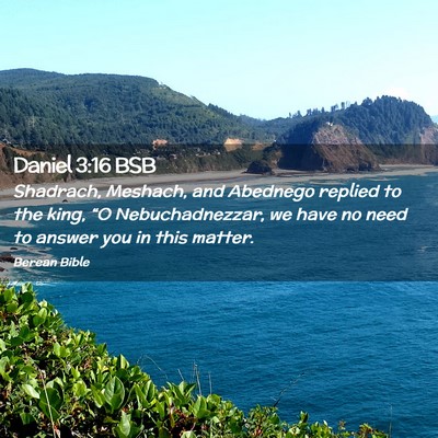 Picture 02 - Daniel 3:16 BSB - Shadrach, Meshach, and Abednego replied to the - Bible Verse Picture