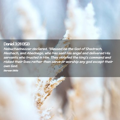 Picture 02 - Daniel 3:28 BSB - Nebuchadnezzar declared, “Blessed be the God of - Bible Verse Picture
