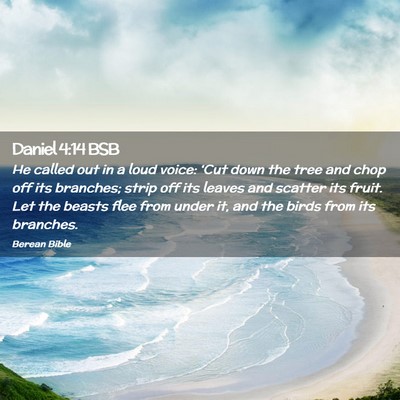 Picture 02 - Daniel 4:14 BSB - He called out in a loud voice: ‘Cut down the - Bible Verse Picture