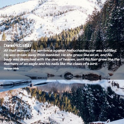 Picture 02 - Daniel 4:33 BSB - At that moment the sentence against - Bible Verse Picture