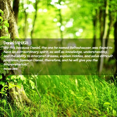 Picture 02 - Daniel 5:12 BSB - did this because Daniel, the one he named - Bible Verse Picture