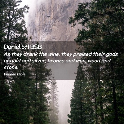 Picture 02 - Daniel 5:4 BSB - As they drank the wine, they praised their gods - Bible Verse Picture