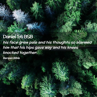Picture 02 - Daniel 5:6 BSB - his face grew pale and his thoughts so alarmed - Bible Verse Picture