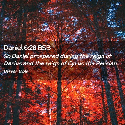 Picture 02 - Daniel 6:28 BSB - So Daniel prospered during the reign of Darius - Bible Verse Picture