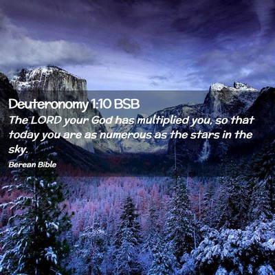Picture 02 - Deuteronomy 1:10 BSB - The LORD your God has multiplied you, so that - Bible Verse Picture